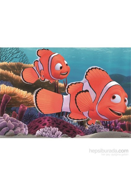 WD Nemo - 2x24 Parçalı fiyatları