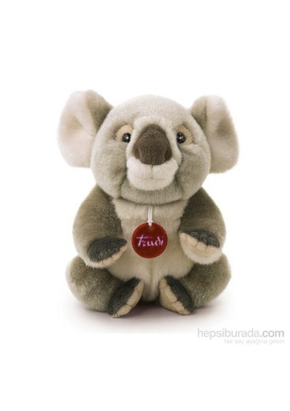 Koala Jamin 22cm