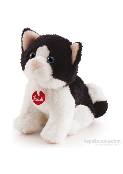 no Kedi 15 Cm