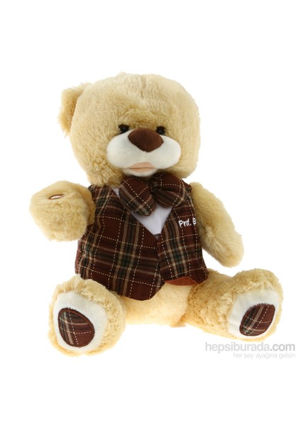 Akıllı Ayı Profesör Bobo