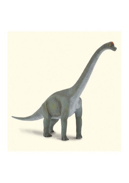 Brachiosaurus (L)