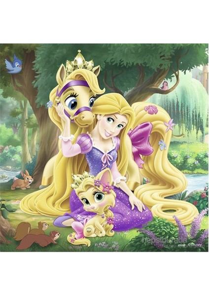 Walt Disney Belle Cinderella Ve Rapunzel 3-49 Parça Puzzle