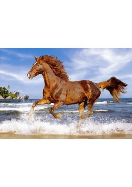 500 Parça Horse On The Beach