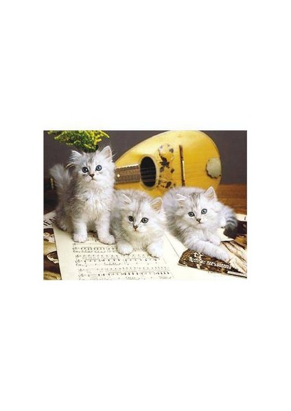 Puzzle Musician Cats (1000 Parça)