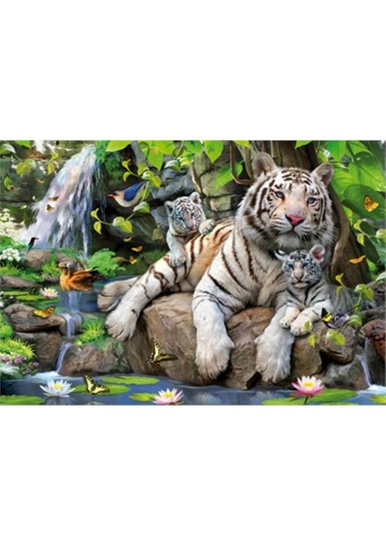 Puzzle Bengal White Tigers (1000 Parça)