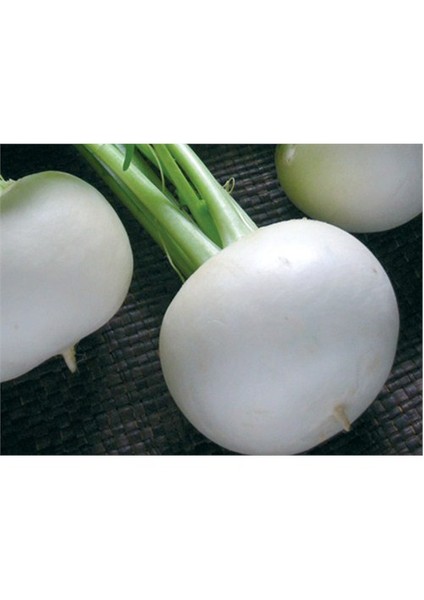 Turp Kestane Beyaz Tohumu(10 Gr)
