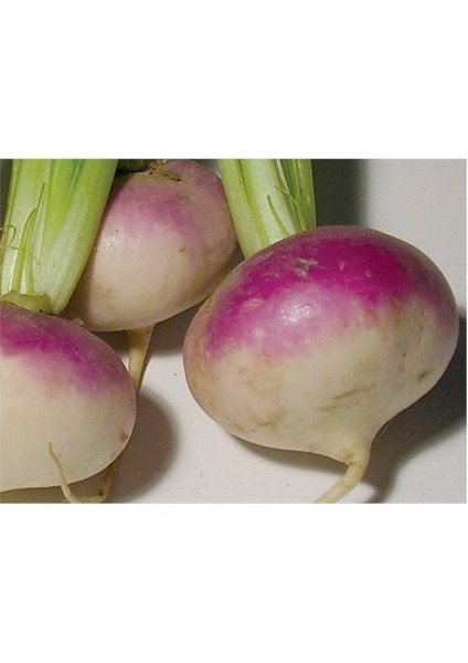 Turp Şalgam Tohumu(10 Gr)