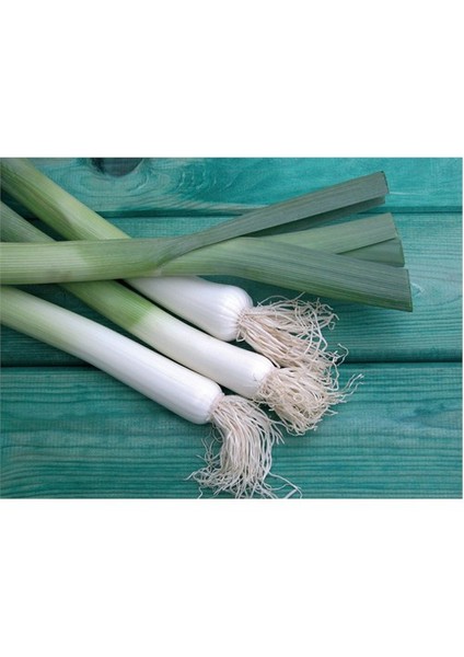 İnegöl Pırasa Tohumu (10 Gr)