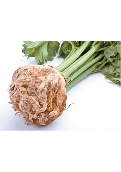 Kereviz Tohumu(10 Gr)