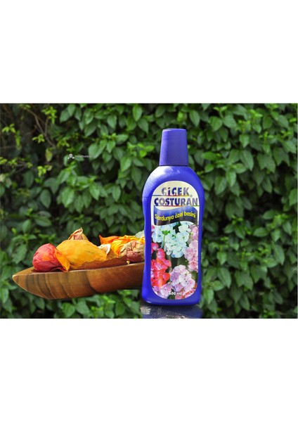 2520 [Lacıvert] - Sardunya Özel Besini fiyatları