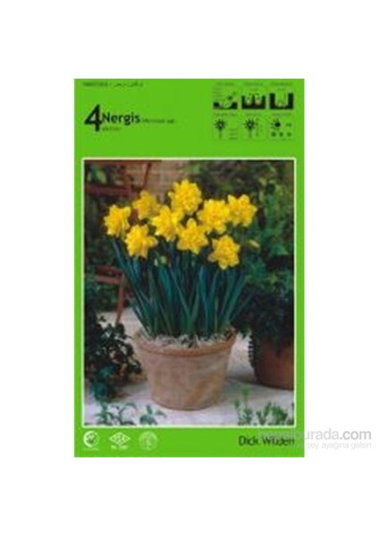 Nergis Dick Wilden Soğanı Paketli