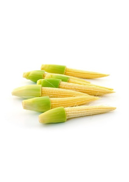 Baby Corn Minik Bebek Mısırı Tohumu [Tohhum Ev Bahçe]