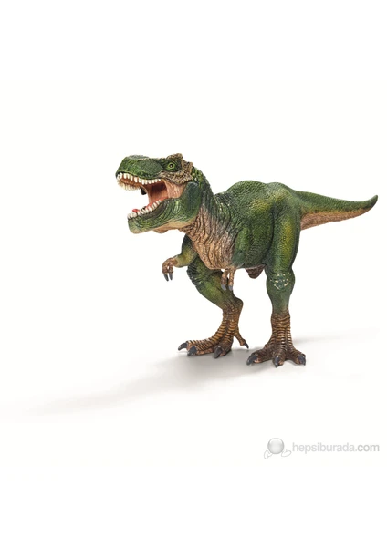 Tyrannosaurus Rex 14525