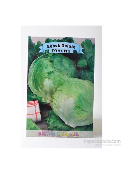 Göbek Salata Tohumu