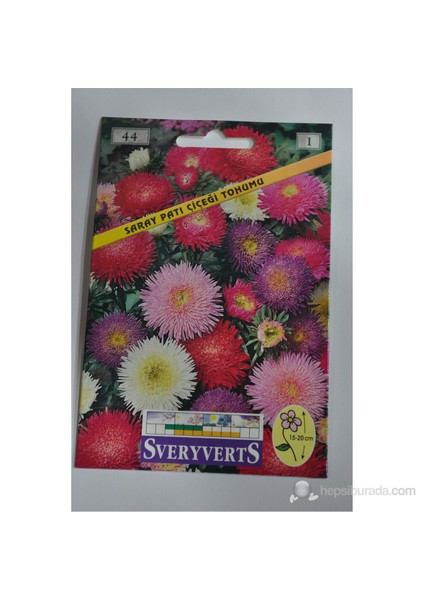 Saraypatı Çiçeği Tohumu 44