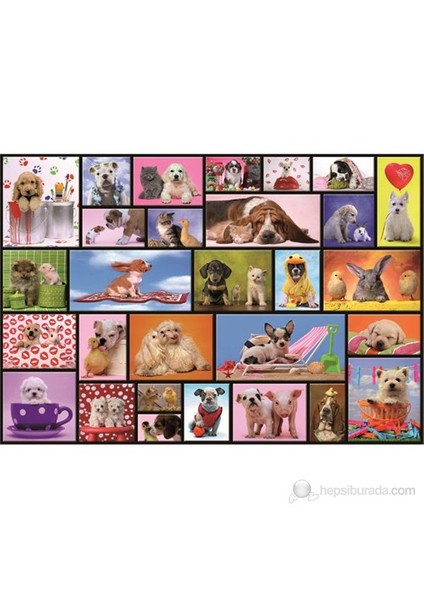 1000 Parça Puzzle Shared Moments