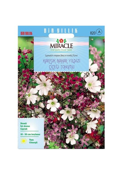 Miracle Tohum Gypsophila Elegance Mixed Bahar Yıldızı Çiçeği Tohumu (1100 Tohum)