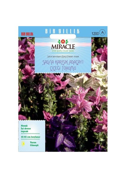 Miracle Tohum Salvia Horminum Karışık Renkli Adaçayı Çiçeği Tohumu (350 Tohum)