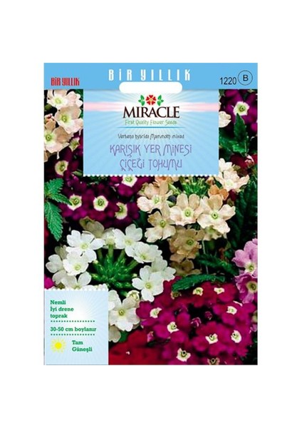 Karışık Renkli Yer Minesi (Verbena) Çiçeği Tohumu (100 Tohum)