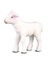 Lamb (S) 1