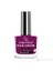 Rich Color Nail Lacquer No:31 1