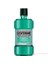 Gargara Teeth&Gum Taze Nane Aromalı 250 Ml 1
