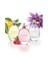 Scent Essence Edt 30 Ml 3 Çeşit Bayan Parfüm 1