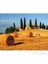 Tuscany (2000 Parça Puzzle) 1