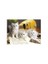 Puzzle Musician Cats (1000 Parça) 1