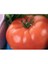 Domates İnvictus Tohumu(3 Gr) 1