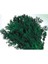 Dereotu Tohumu(10 Gr) 1