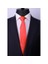 Narçiçeği Saten Slim Kravat Sk5306 1