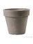 Standart One (Cappuccıno) Plastik Saksı 1