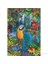 500 Parça Puzzle Bird Tropical Land 1