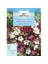 Miracle Tohum Gypsophila Elegance Mixed Bahar Yıldızı Çiçeği Tohumu (1100 Tohum) 1