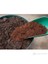 Sıkıştırılmış Torf (COCOPEAT) 70LT 2