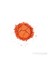 - Göz Farı Ve Far Paleti - Mono Eyeshadow 032 Orange Juice 8690604241347 32000003 1