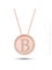 14 Ayar 3,74 Gr Rose Altın Taşlı Plaka Kolye (PP78105) 1