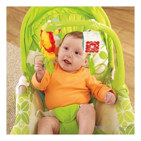 Fisher Price Aslancıklı Anakucağı ve Sallanan Sandalye Fiyatı