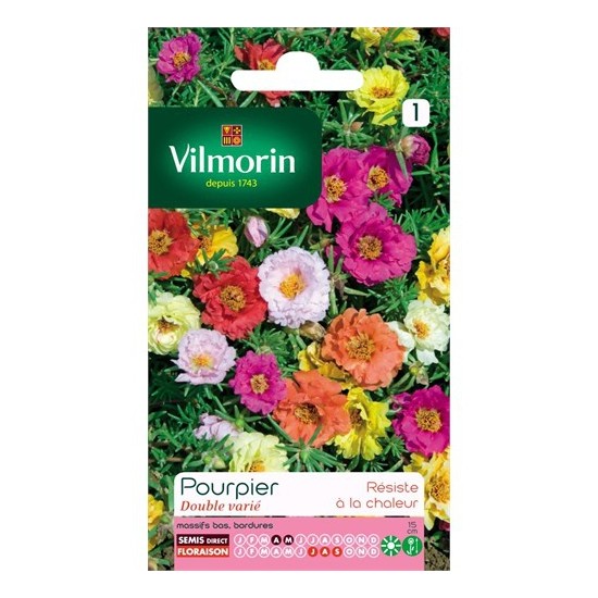 Vilmorin Katmerli ipek Çiçeği (Kedi Tırnağı) Çiçek Tohumu Fiyatı