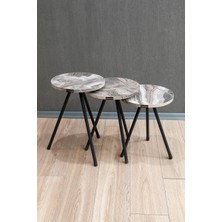 Remaks Yuvarlak Metal Ayaklı 3'lü  Zigon Sehpa Çay Sehpası Servis Sehpası