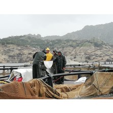 Muson Medical Erkek Balıkçı Avcı Yağmurluk Haki Renk 55 Micron