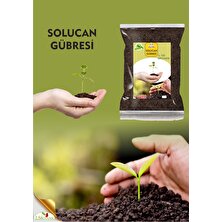  Solucan Gübresi Organik Solucan Gübresi 3,5 Litre