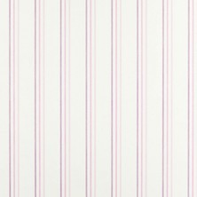 Casadeco Arc En Ciel İthal Duvar Kağıdı