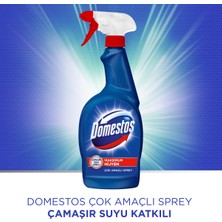 Domestos Hijyenik Temizlik Spreyi Çok Amaçlı 750 ML x4