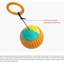 Chance Petcastle Çok Fonksiyonlu Pet Fırlatma Topu Molar El Fırlatma Topu (Yurt Dışından)