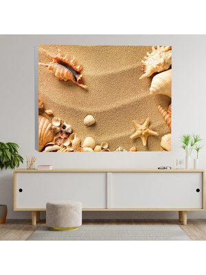 Deko Gonya Deniz Kabuğu Temalı Kanvas Tablo