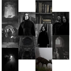 Harry Potter Duvar Kağıdı Seti-Severus Snape-10 Adet A5 200G Kuşe Kağıt