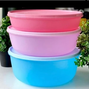 Mega Renkli Saklama Kabı