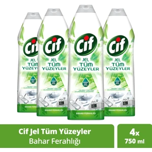 Jel Yüzey Temizleyici Tüm Yüzeyler Bahar Ferahlığı Çamaşır Suyu Katkılı 750 ML x4